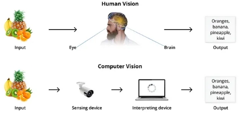 Human Vision vs Computer Vision